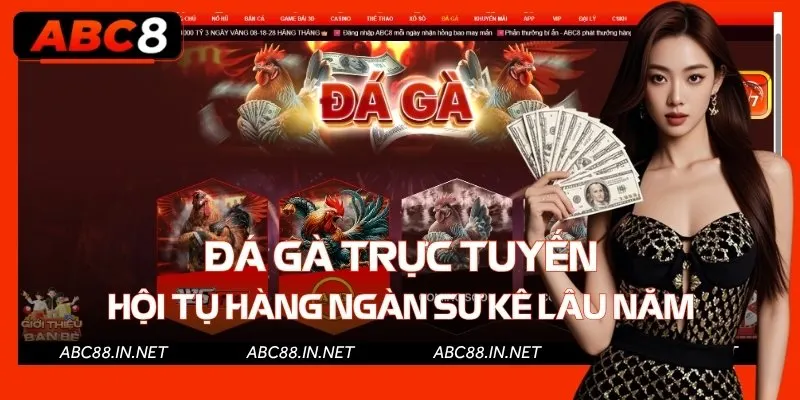 Sảnh đá gà hội tụ hàng ngàn sư kê lâu năm