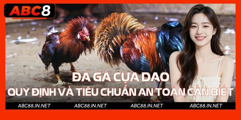 Đá Gà Cựa Dao - Quy Định Và Tiêu Chuẩn An Toàn Cần Biết