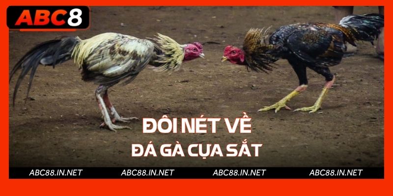 Đôi nét về đá gà cựa sắt