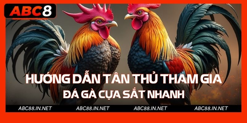 Hướng dẫn tân thủ tham gia đá gà cựa sắt nhanh
