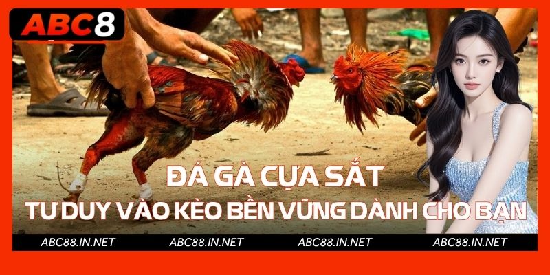 Đá Gà Cựa Sắt - Tư Duy Vào Kèo Bền Vững Dành Cho Người Chơi