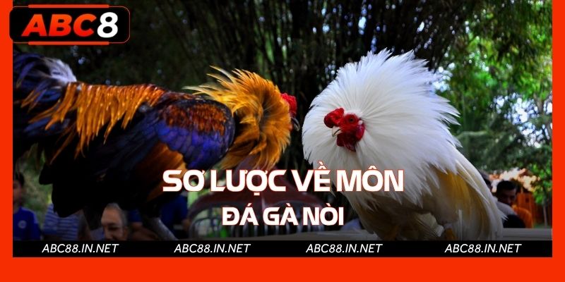 Sơ lược về môn đá gà nòi