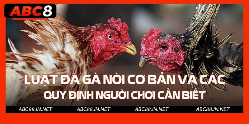 Luật đá gà nòi cơ bản và các quy định người chơi cần biết