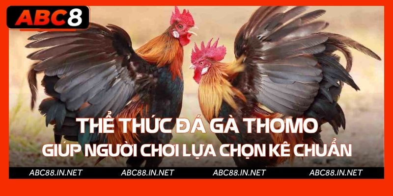 Thể thức đá gà Thomo giúp người chơi lựa chọn kê chuẩn