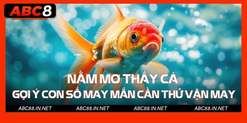 Nằm mơ thấy cá gợi ý con số may mắn cần thử vận may