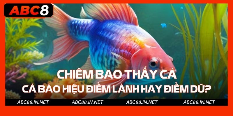 Chiêm bao thấy cá báo hiệu điềm lành hay điềm dữ?