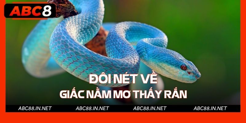 Đôi nét về giấc nằm mơ thấy rắn