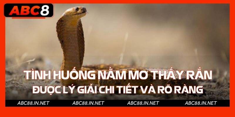 Từng tình huống nằm mơ thấy rắn được lý giải chi tiết và rõ ràng