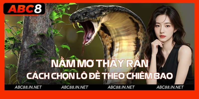 Nằm Mơ Thấy Rắn - Cách Chọn Lô Đề Theo Chiêm Bao Trên ABC8