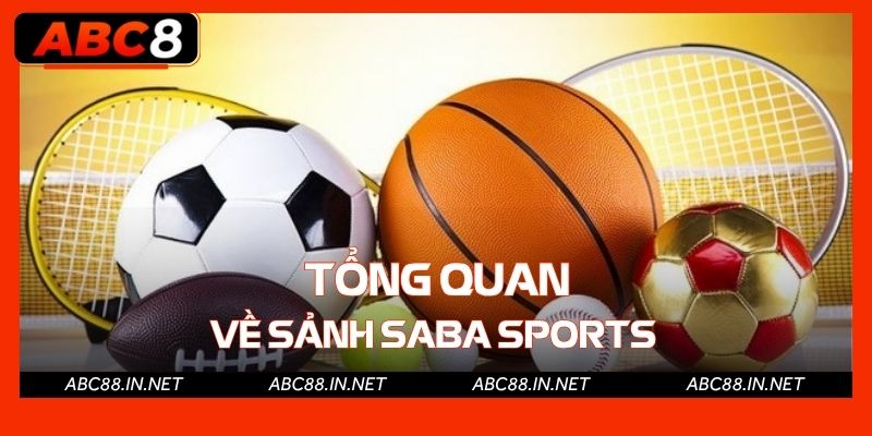 Khái quát sơ lược về sảnh thể thao Saba